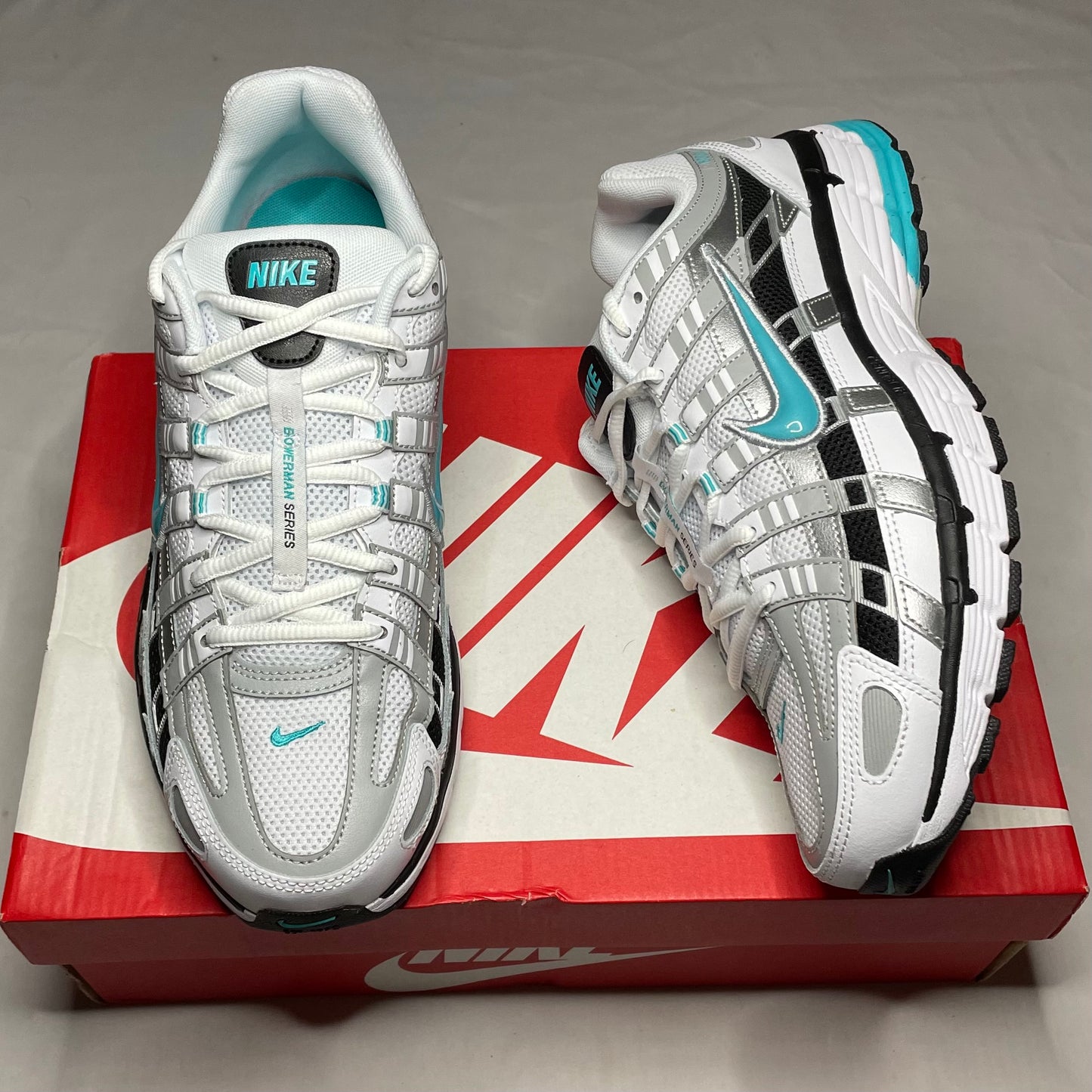 Nike P6000 Dusty Cactus