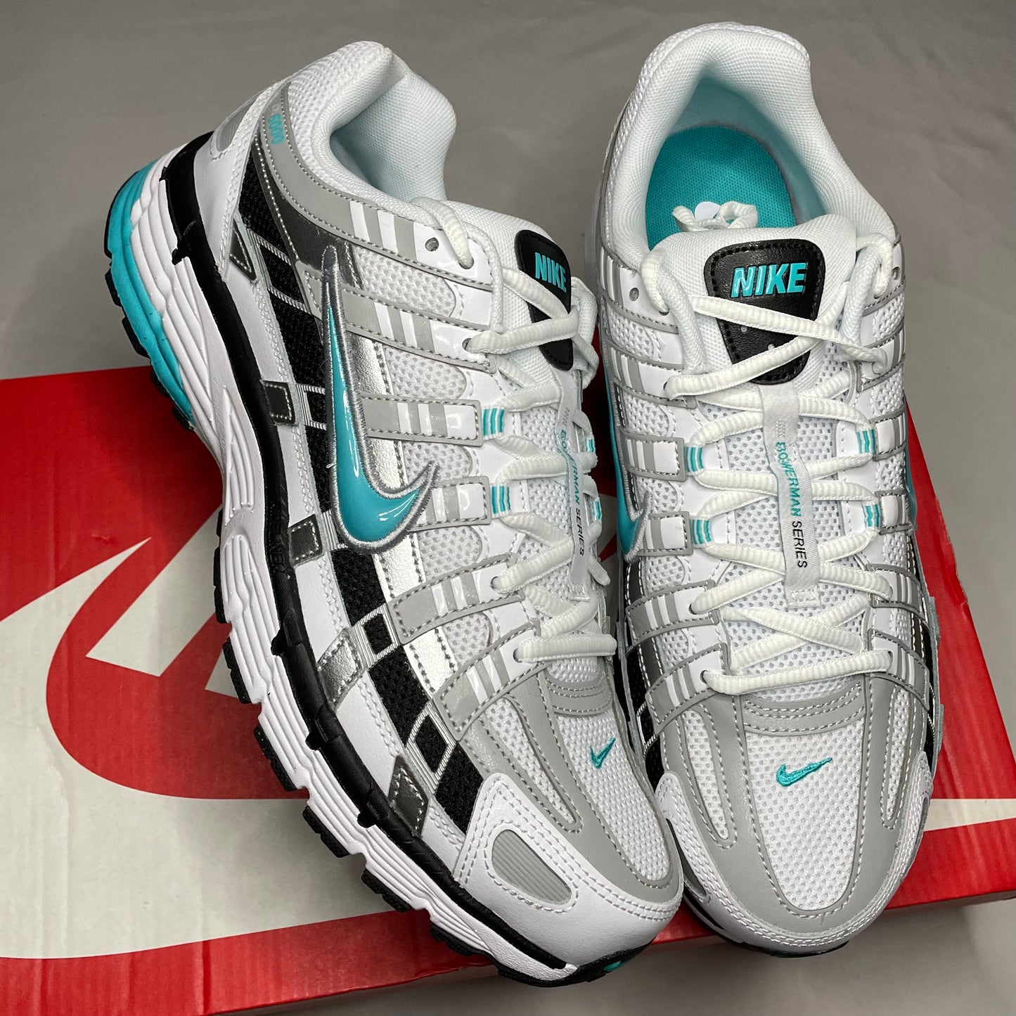Nike P6000 Dusty Cactus